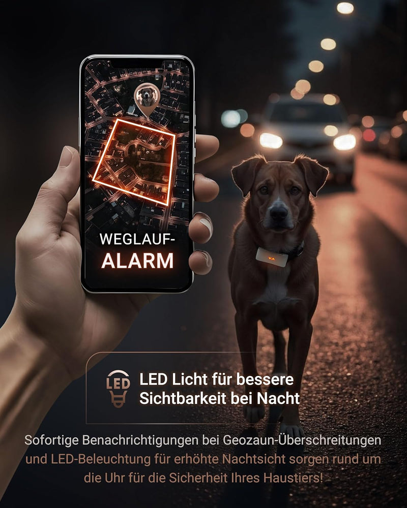 PAJ GPS Tracker für Hunde - 4G - Weglaufalarme + weltweite Live-Ortung - bis zu 10 Tage Akkusparmodu