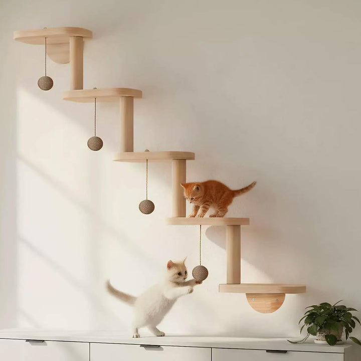 Katzenwand mit Katzentreppe &amp; Hängendem Spielball, 2 in 1 | Kratzbaum, 5 Ebenen Katzenkletterwand, M