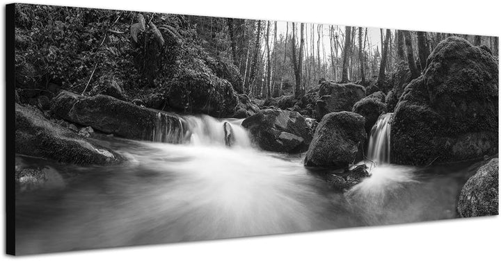 Paul Sinus Art Leinwandfoto als Panorama SCHWARZ/Weiss 150x50cm Wald Steine Moos Waldbach Herbst