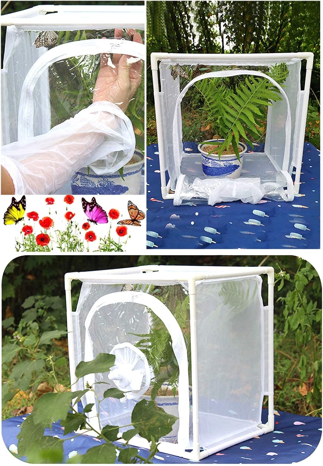 Insekten-Netzkäfig Gewächshaus Wiederverwendbare zusammenklappbare Mini-Pflanzenschmetterlinge Brutk