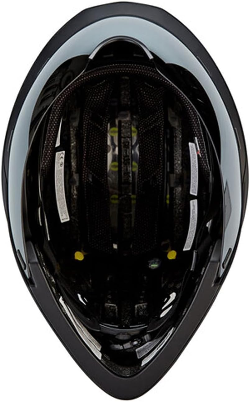 Giro Aerohead MIPS Fahrradhelm L Black/Titanium, L Black/Titanium