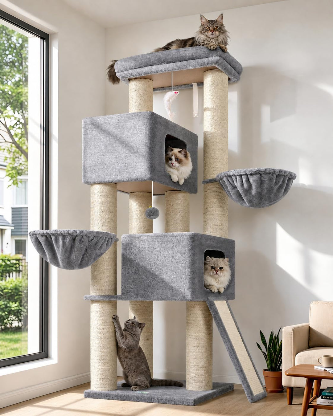 Globlazer Kratzbaum Dicke Stämme 11CM für Grosse Katzen mit 2 Extragross Katzenhaus 50*35*30cm, Ausr