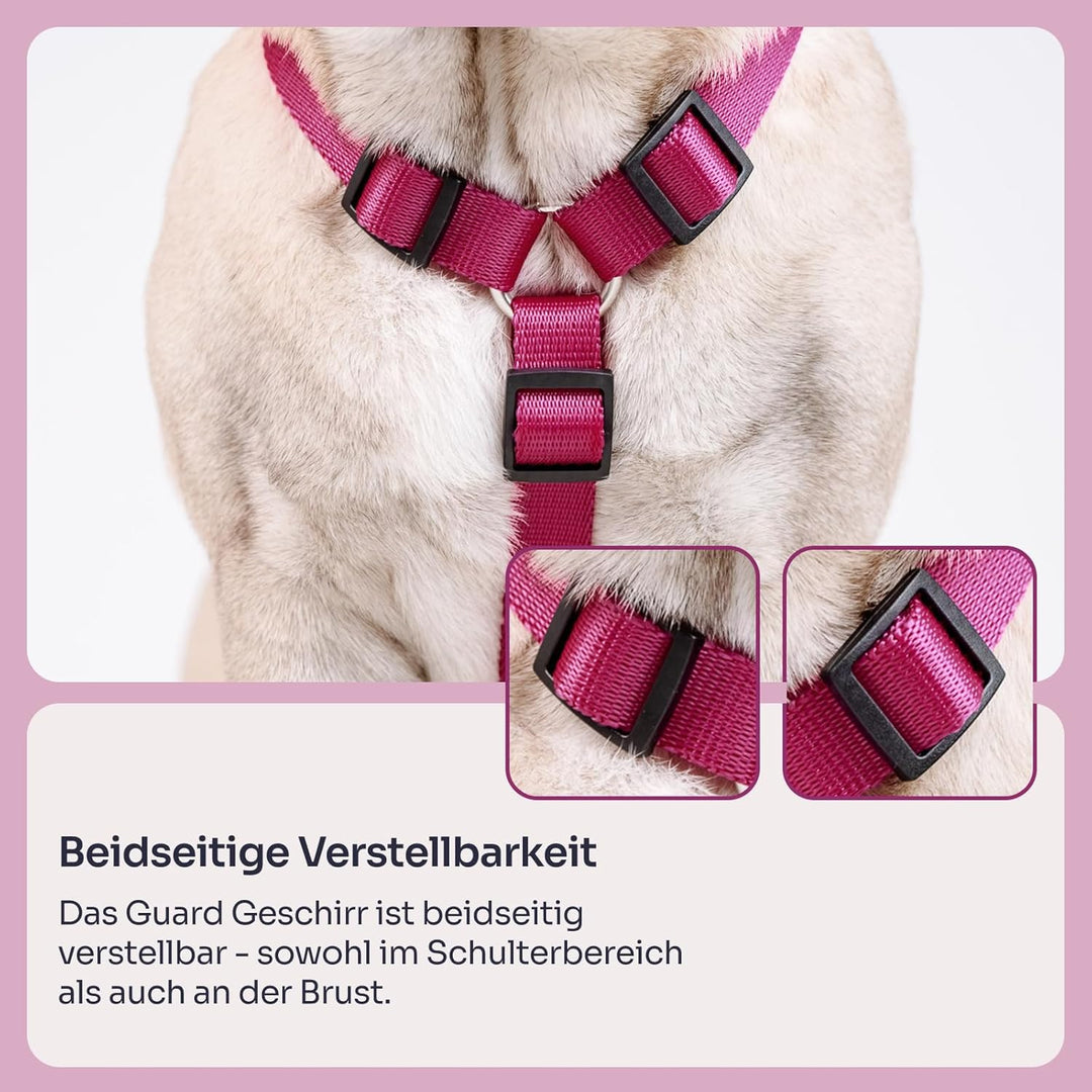Chaba Guard Hundegeschirr für kleine und mittelgrosse Hunde mit Kontrolle, Anti-Zug &amp; Würgen, Verste