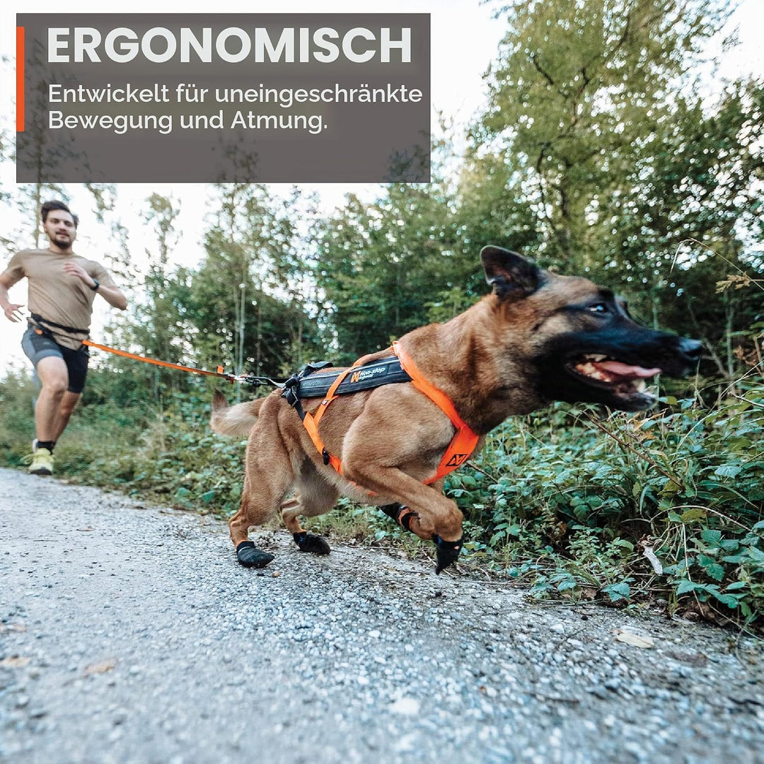 Non-stop dogwear Freemotion Harness 5.0 | Hunde-Geschirr für alle Sportarten, Grösse:Grösse 3 schwar