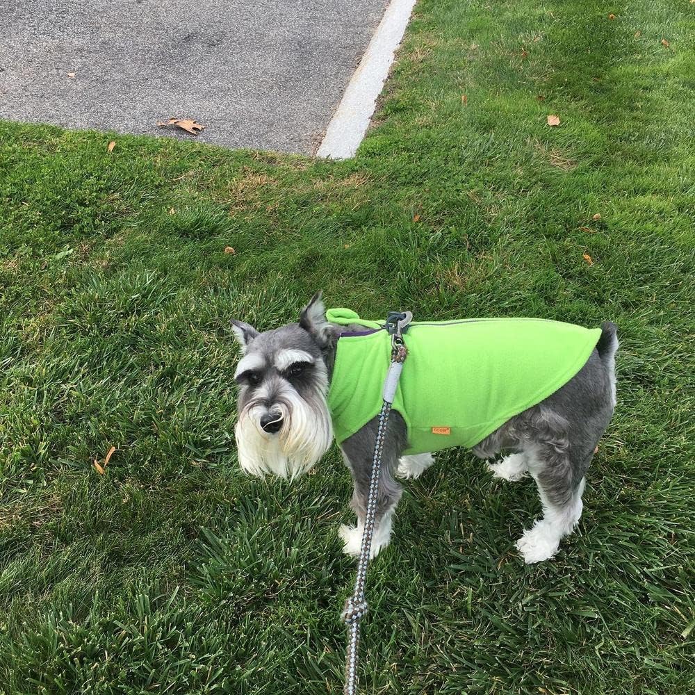 Gooby Fleece-Hundepullover mit Reissverschluss – Limettengrün, Grösse S – warme Fleece-Hundejacke mi