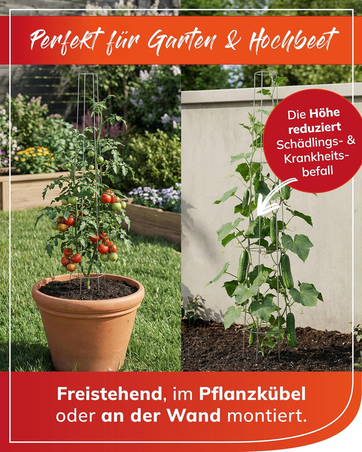 bellissa - Tomaten Rankhilfe 175cm (2 Stück) – Spirale aus Metall verzinkt – Wetterfestes Rankgitter