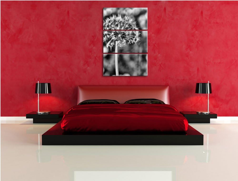 Pixxprint Monocrome, Pusteblume auf Wiese 3-Teiler Leinwandbild 120x80 Bild auf Leinwand