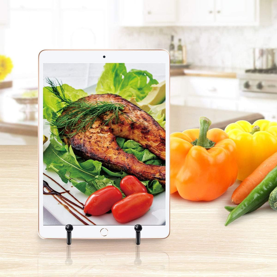Mocoosy 6 Zoll Displayständer für Teller - Black Iron Staffelei Plattenhalter Displayständer Metallr
