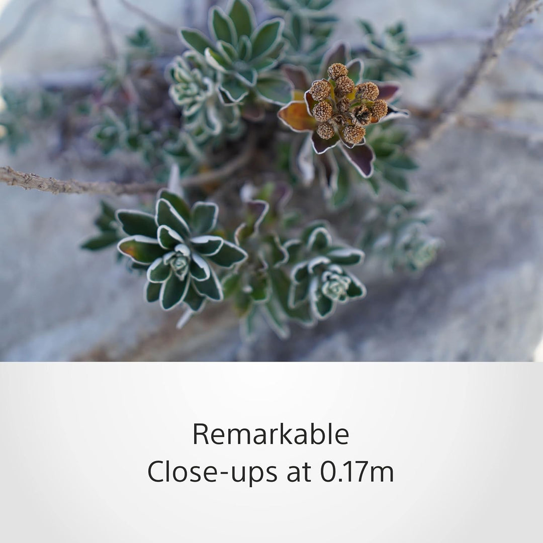 Sony E 15 mm F1.4 G | APS-C-Weitwinkel-Objektiv mit Festbrennweite (SEL15F14G) Single, Single