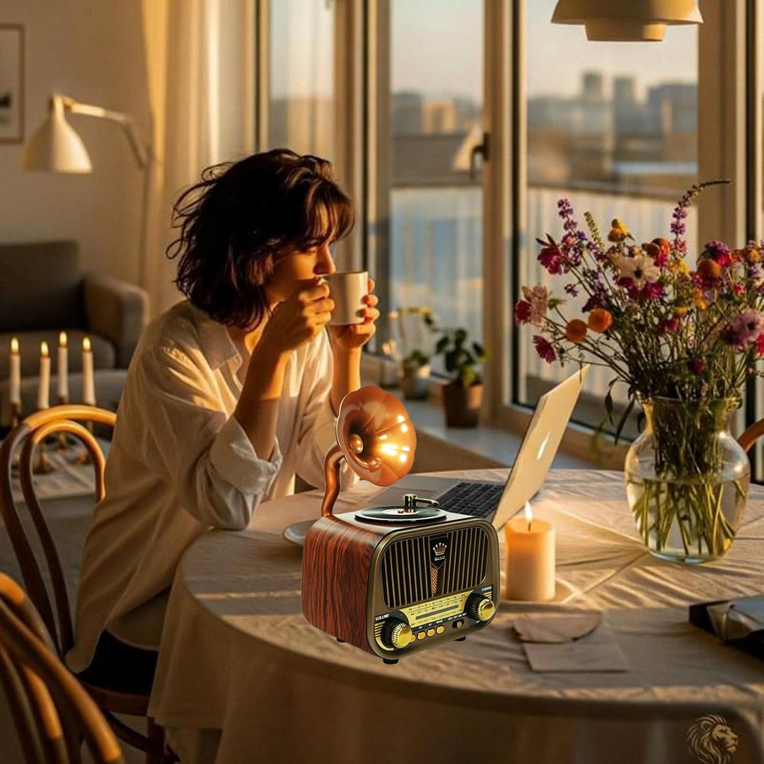 Tragbares Vintage Radio Bluetooth 5.4, mit Akku 1200 mAh, Bluetooth Radio mit USB TF AUX, Vintage Mu