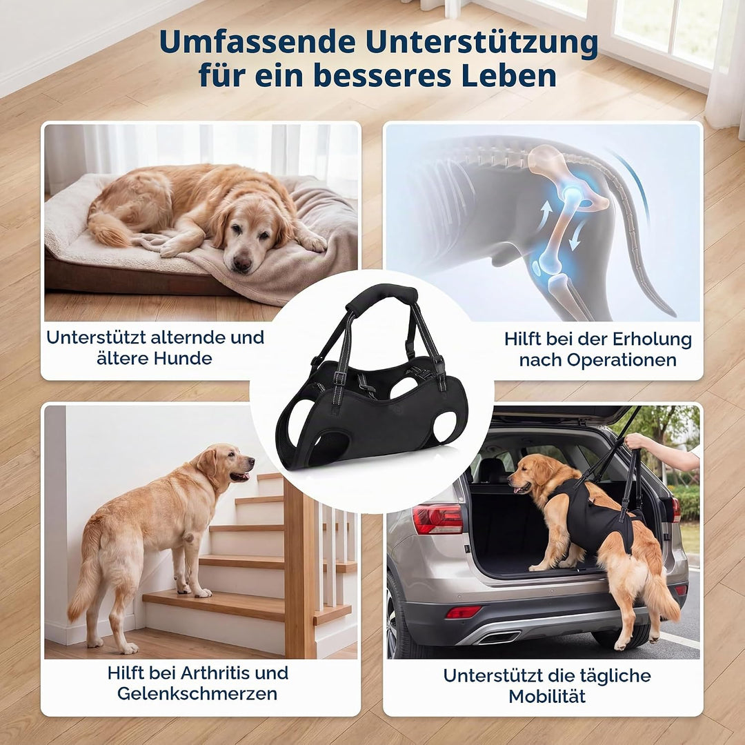 Tragehilfe Hund Hundegeschirr Hunde Tragehilfe für Grosse - XL | Hunde Tragehilfe für Mittelgrosse G