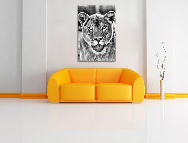 Monocrome, schöne Löwin , Format: 100x70 auf Leinwand, XXL riesige Bilder fertig gerahmt mit Keilrah