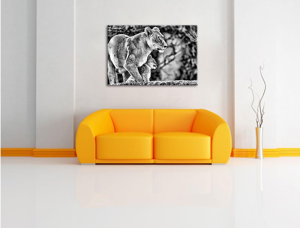 Pixxprint Monocrome, Löwenmutter mit Jungtier, Format: 100x70 auf Leinwand, 100x70