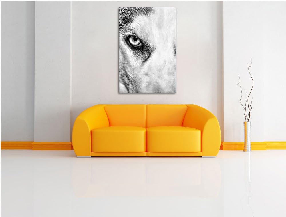 Pixxprint Husky mit Eisblauen Augen / 100x70cm Leinwandbild bespannt auf Holzrahmen/Wandbild Kunstdr