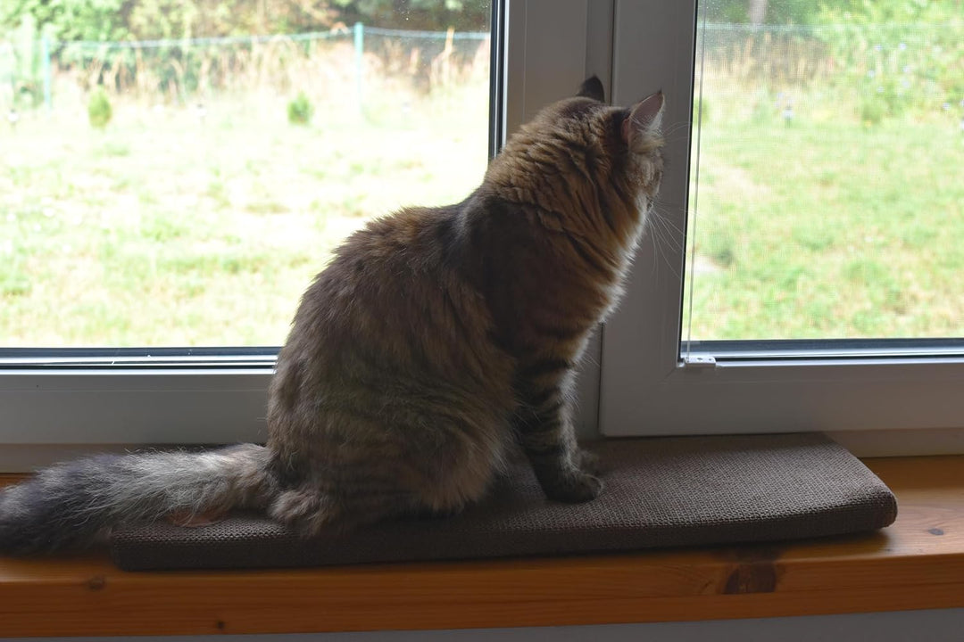 Prime Katzen Fensterliege Für Katzen, Fensterbank mit Einer Rutschfesten Rückseite, Katzenbett Fenst
