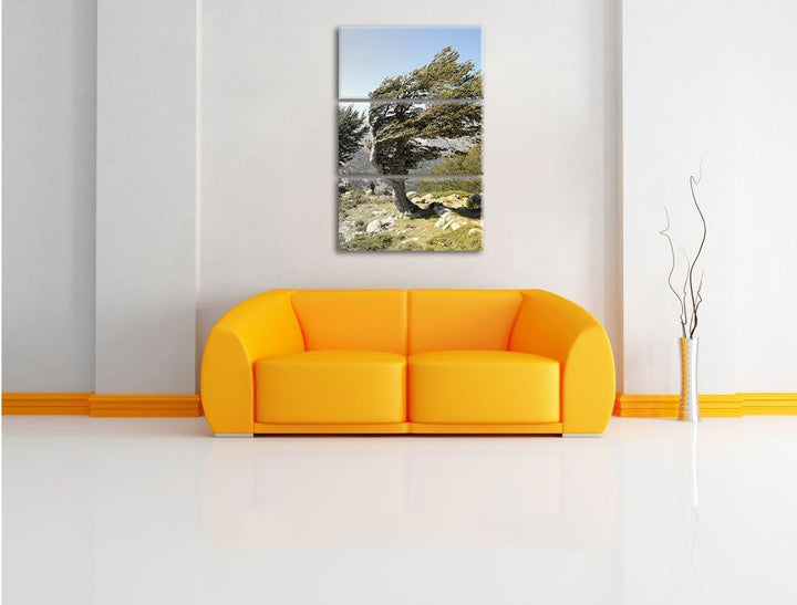 Pixxprint Alter Schiefer Baum in den Bergen schwarz/weiss 3-Teiler Leinwandbild 120x80 Bild auf Lein