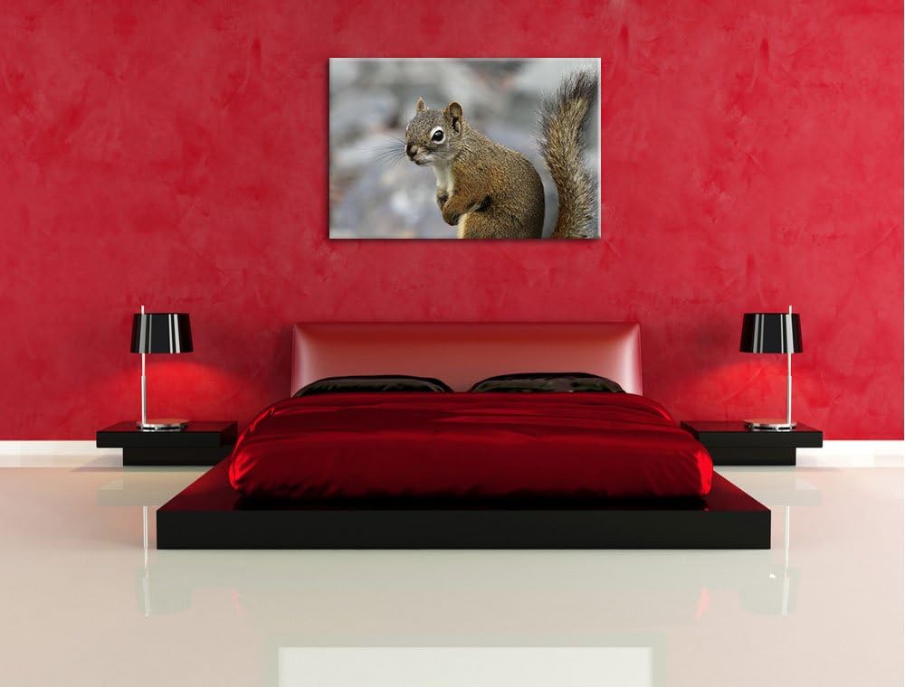 kleines wachsames Eichhörnchen Leinwand, XXL riesige Bilder fertig gerahmt mit Keilrahmen, Kunstdruc