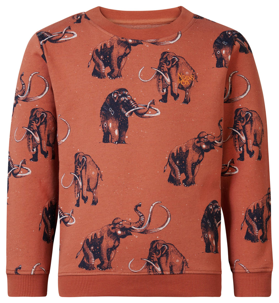 Noppies Jungen Boys Sweater Westchase Long Sleeve Allover Print Pullover, 110