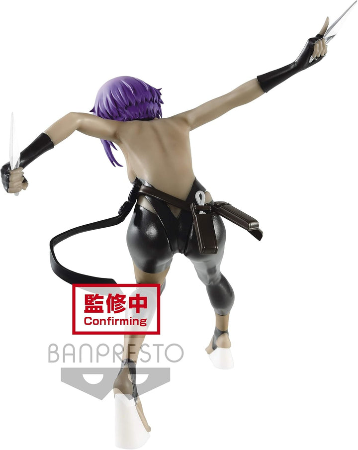 Unbekannt BP17420 Fate/Grand Order – Hassan der Gelassenheit – Figur Banpresto 14 cm, No Color