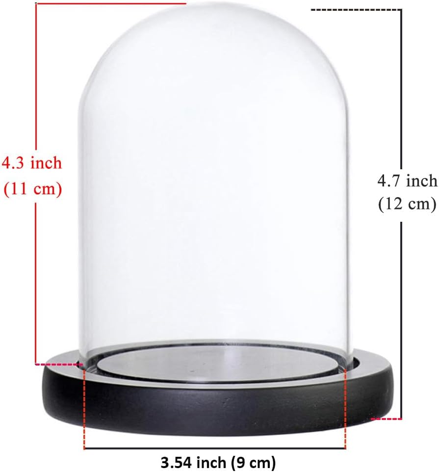 DuvinDD Glaskuppel-Glocke mit LED-Lichtsockel, Arbeitsplatte, Glocke, Vitrine, Kuppelglas, Dekoratio