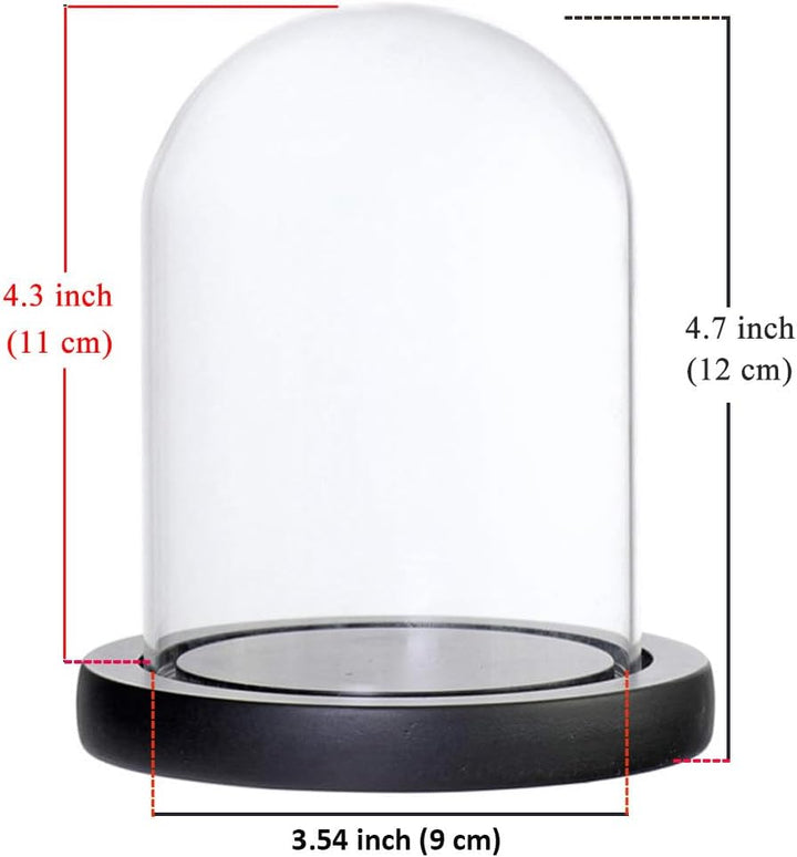 DuvinDD Glaskuppel-Glocke mit LED-Lichtsockel, Arbeitsplatte, Glocke, Vitrine, Kuppelglas, Dekoratio