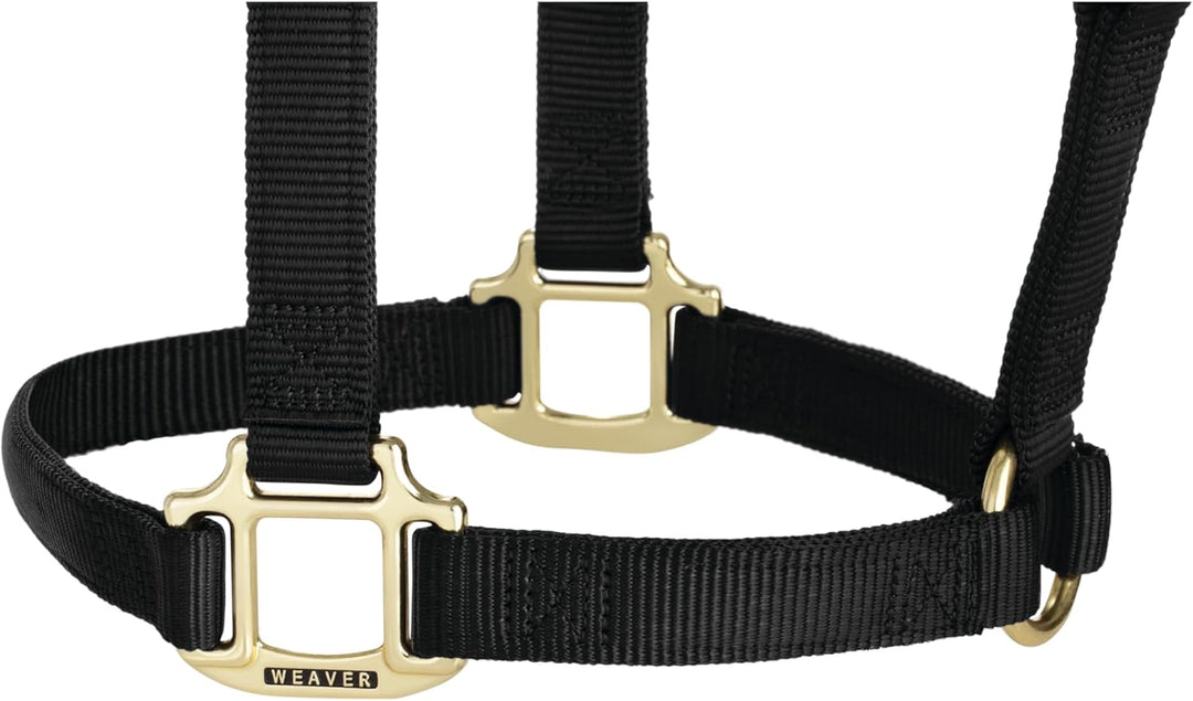 WEAVER Leather, Nicht verstellbares Halfter Schwarz Average Horse, Schwarz Average Horse
