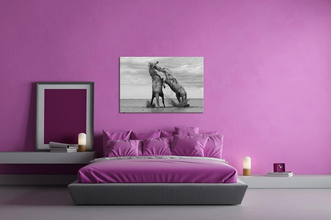 deyoli Schwarz Weiss kämpfende Pferde Format: 100x70 als Leinwandbild, Motiv fertig gerahmt auf Echt