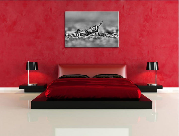 Pixxprint Monocrome, aussergewöhnliche Heuschrecke, Format: 100x70 auf Leinwand, riesige Bilder fert