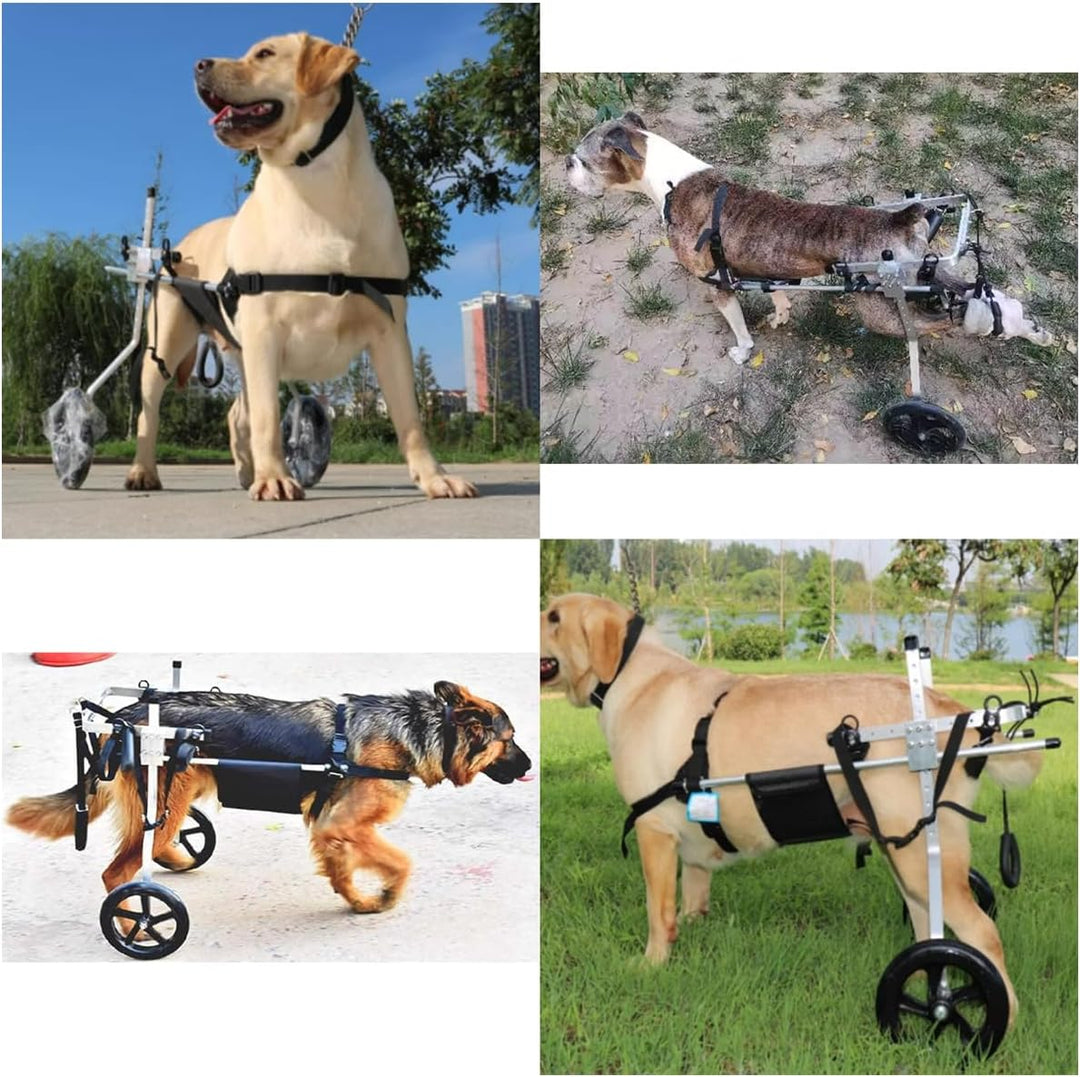 2 Räder Verstellbarer Hunderollstuhl Für Tierhinter Beine Rehabilitation Scooter Pour Animaux Hund H