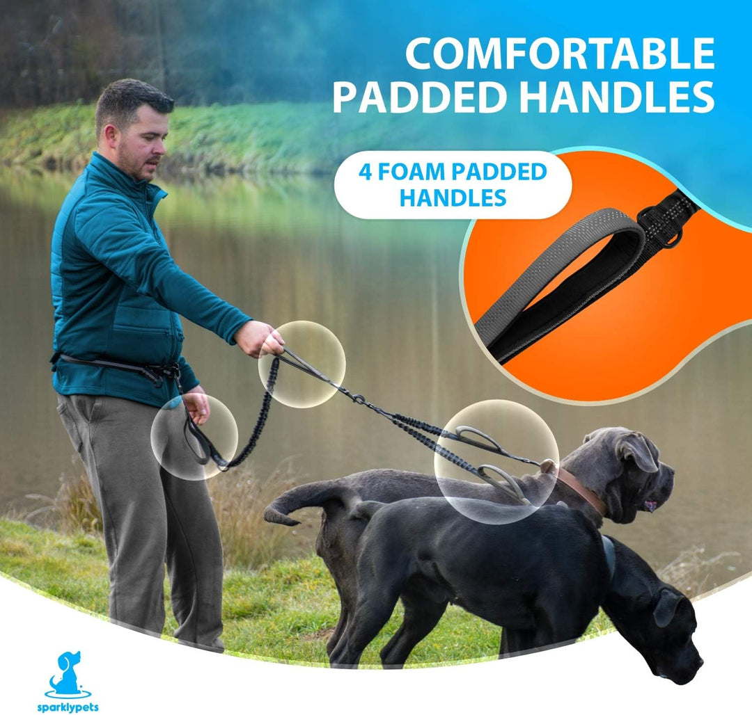 Joggingleine für Hunde zum Laufen, Joggen, Wandern | 2 in 1 Joggingleine und Normale Hundeleine für