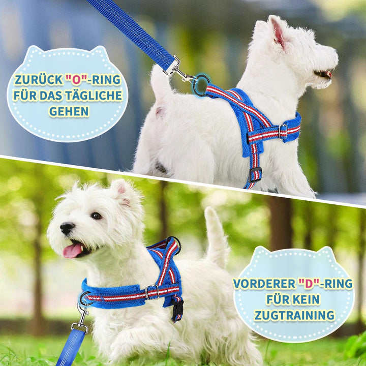 Eyein Hundegeschirr mit Leine für mittelgrosse Kleine Hunde, Weich gepolsterter No-Pull Brustgeschir