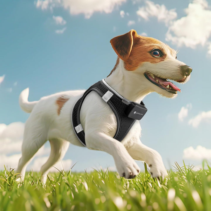 PcEoTllar Hundegeschirr Leuchtend, Leuchtgeschirr LED Aufladbar Reflektierendes, Beleuchtetes Leucht