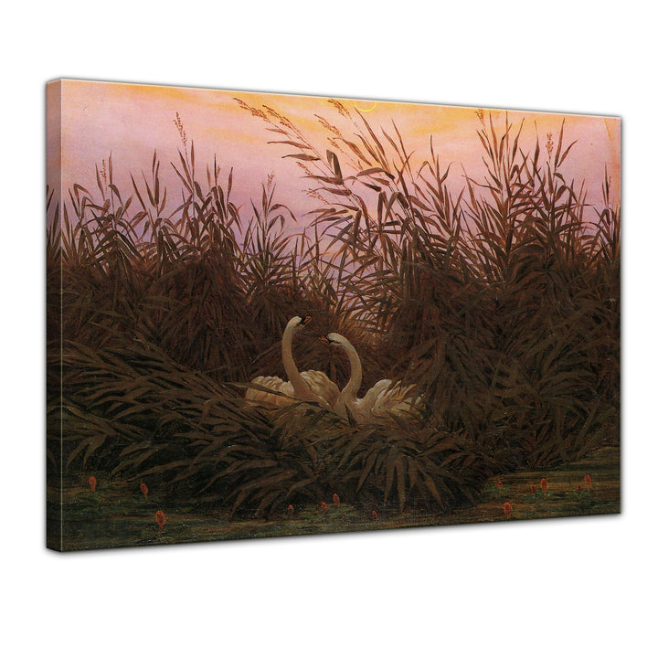 Bilderdepot24 Bild auf Leinwand | Caspar David Friedrich Schwäne im Schilf beim ersten Morgenrot in