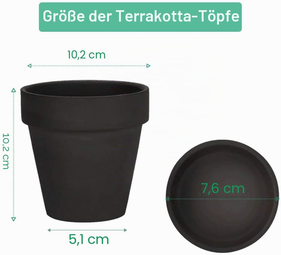 vensovo 10,2cm Schwarzer Tontopf für Pflanzen mit Untertasse - 6er Pack Kleiner Terrakotta-Pflanzent