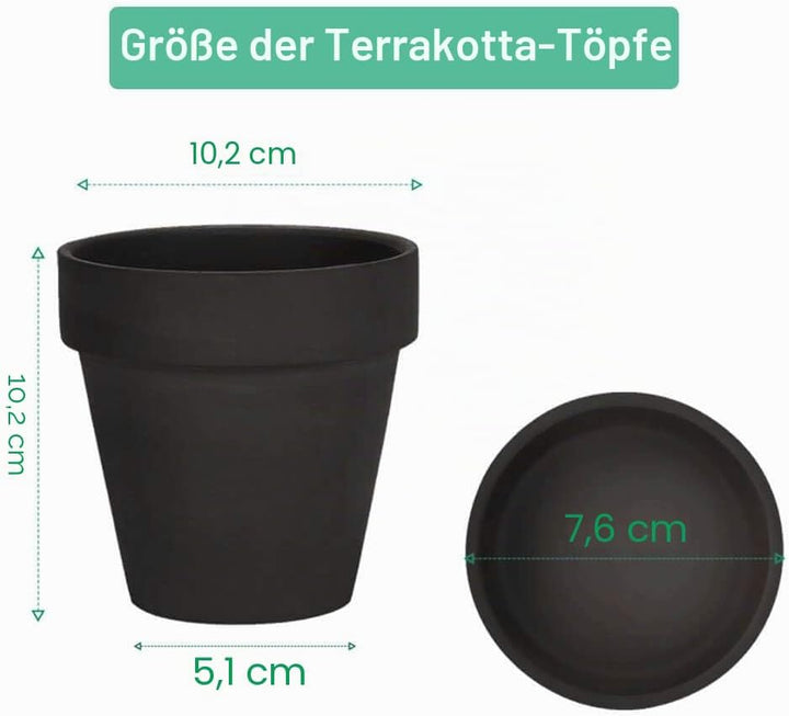 vensovo 10,2cm Schwarzer Tontopf für Pflanzen mit Untertasse - 6er Pack Kleiner Terrakotta-Pflanzent
