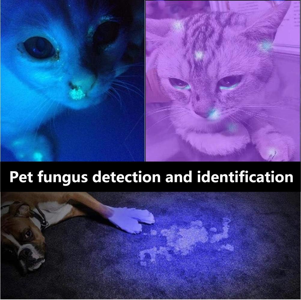 ALONEFIRE SV005 10W LED 365nm UV Taschenlampe Schwarzlicht Tragbarer USB Wiederaufladbar Schwarzlich