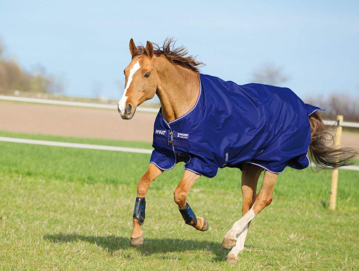 Horseware Amigo Hero 900 T/O Med 200g Turnout Decke wasserdicht Atlantic Blue/AB Ivory 115 cm / 5`6,