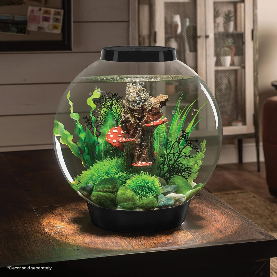 biOrb 72005 CLASSIC 30 LED schwarz - dekoratives Aquarium Komplett-Set mit Filter-System, LED-Beleuc