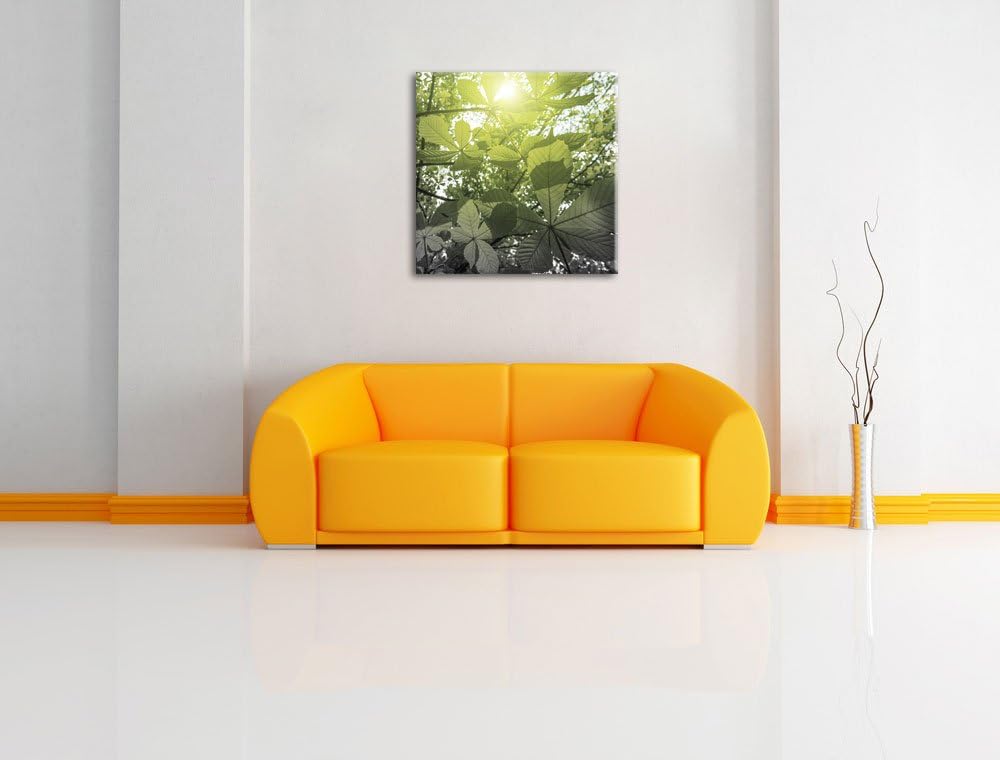 Pixxprint Grüne Kastanienblätter schwarz/weiss, Format: 70x70 auf Leinwand, 70x70