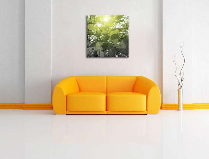 Pixxprint Grüne Kastanienblätter schwarz/weiss, Format: 70x70 auf Leinwand, 70x70