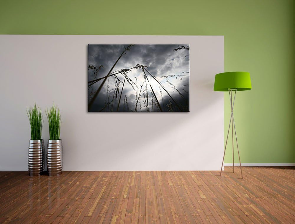 Düsteres Gras vorm Regen Format: 100x70 auf Leinwand, XXL riesige Bilder fertig gerahmt mit Keilrahm