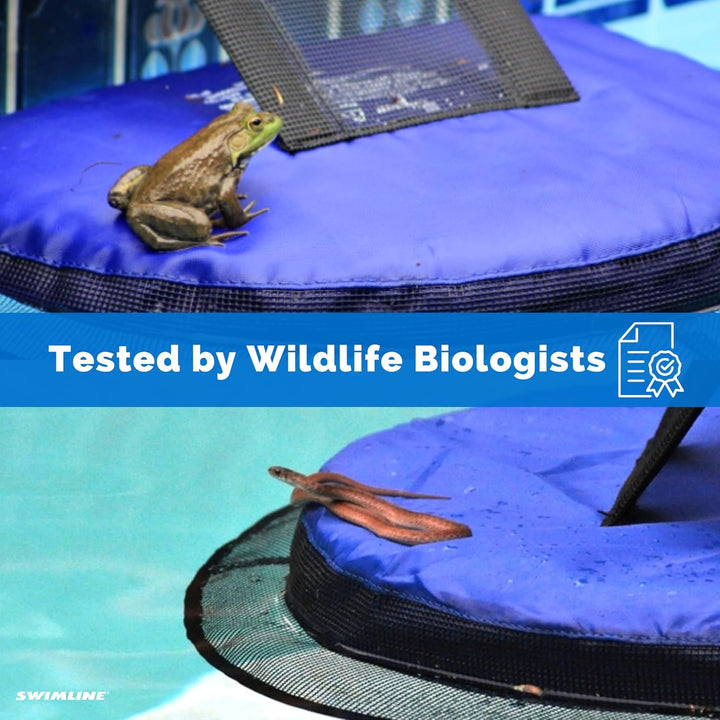 Swimline FrogLog Rettungsrampe für Pool, blau, Einheitsgrösse Froglog