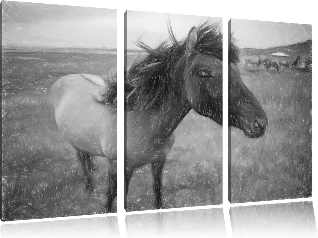 Isländer Pferde in der Wildnis als Leinwandbild/Grösse: 3 Teilig (120x80 cm) cm/Wandbild/Kunstdruck/
