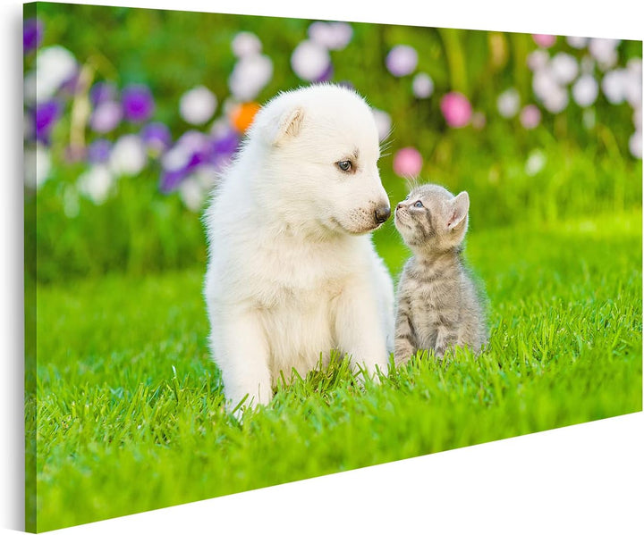islandburner Bild auf Leinwand Kätzchen Küssen Weisse Schweizer Schäfer Welpen Auf Grünem Gras Wandb