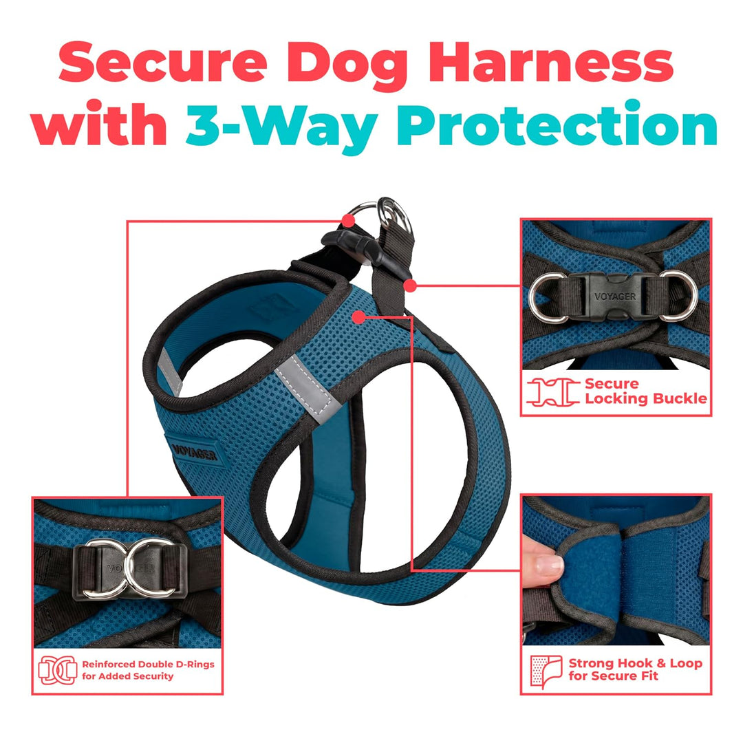 Best Pet Supplies Voyager Step-In Air Hundegeschirr – Allwetter-Netzgewebe für kleine und mittelgros