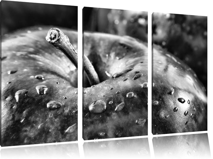 Pixxprint Apfel als Leinwandbild | Grösse: 3 Teilig (120x80) | Wandbild| Kunstdruck | fertig bespann