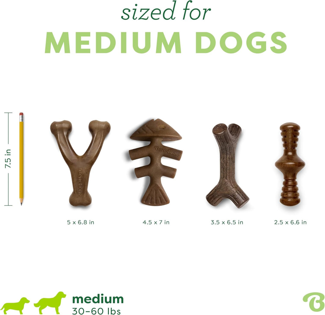 Benebone Durable Dog Chew Toy Box for Aggressive Chewers with Wishbone, Fishbone, Stick & Zaggler, M
