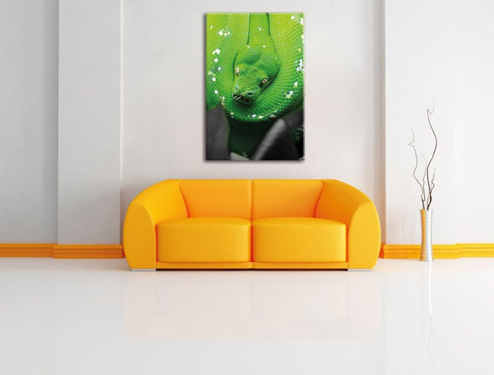Pixxprint Giftige Grüne Schlange als Leinwandbild/Grösse: 120x80 cm/Wandbild/Kunstdruck/fertig bespa