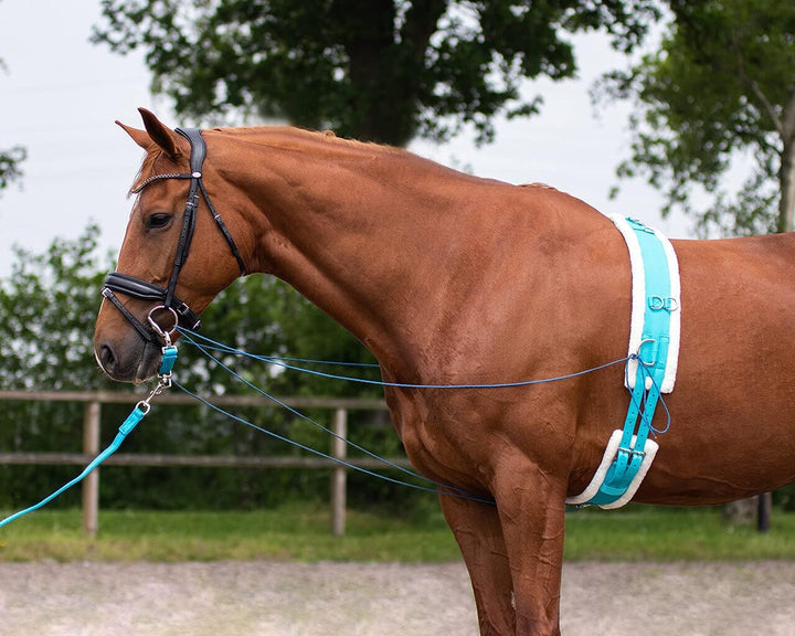 QHP Ontario Longiergurt, Grösse:Pony, Farbe QHP:Sky Pony sky, Pony sky