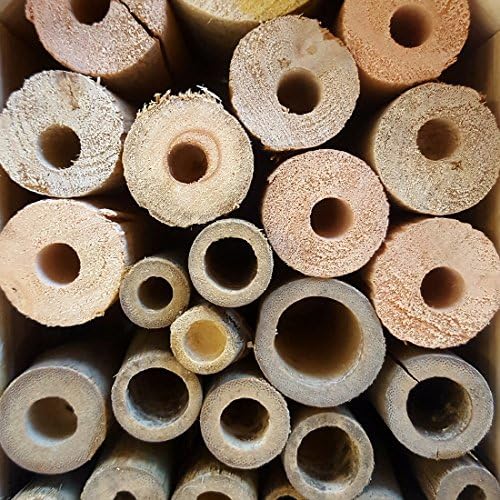 Insektenhotel Cabana - siebenstöckiges Luxushotel für Insekten